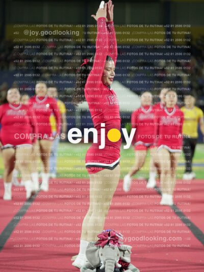 Joy00453
