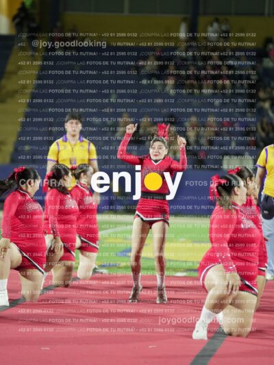 Joy00456