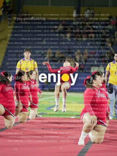 Joy00457