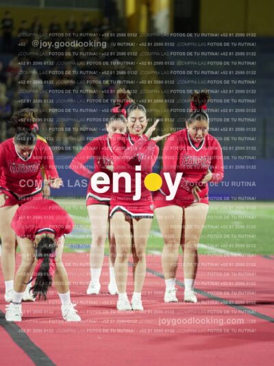 Joy00480