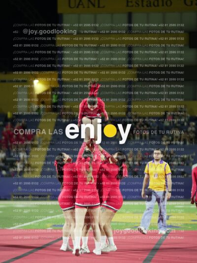 Joy00486