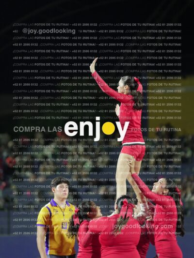 Joy00500