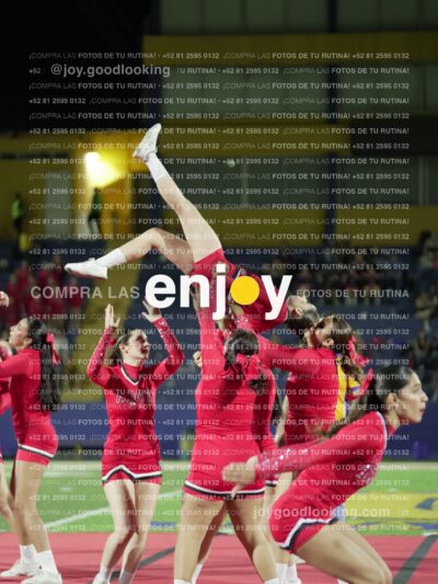 Joy00507