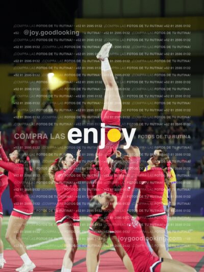 Joy00508