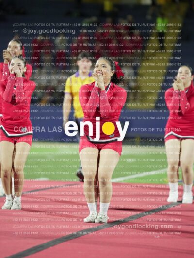 Joy00544