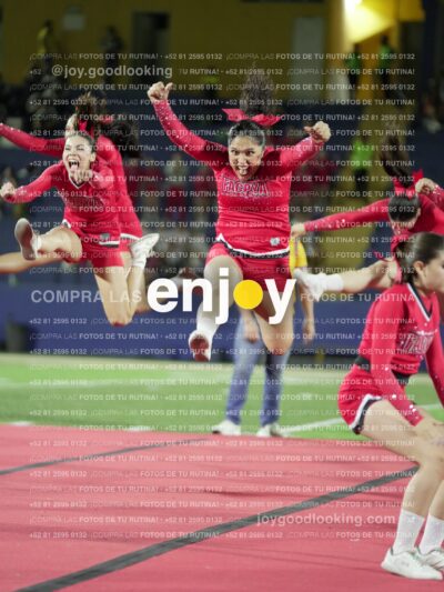 Joy00546