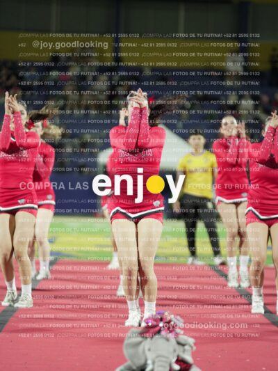 Joy00550