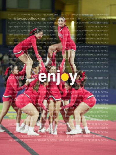Joy00568