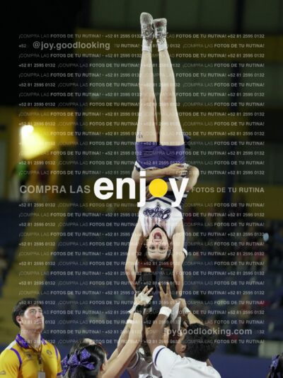 Joy00906