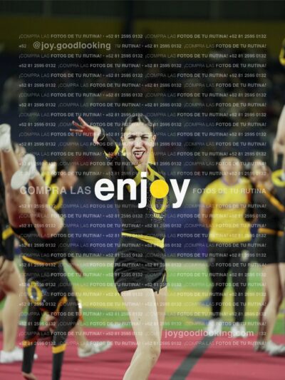 Joy00955