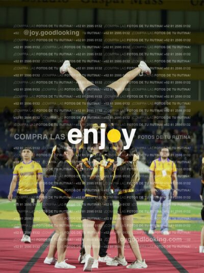 Joy00989