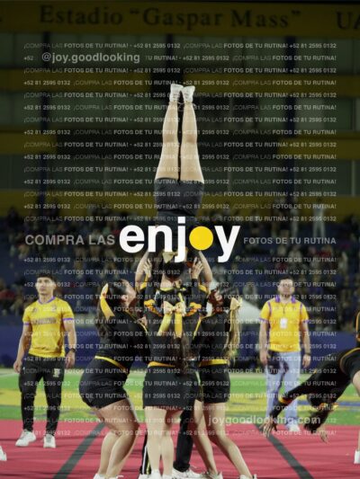 Joy00990