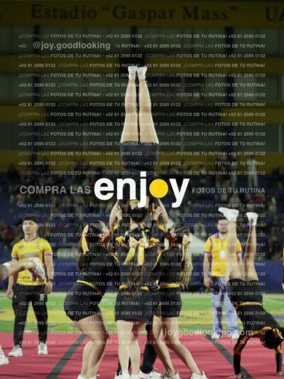 Joy00991