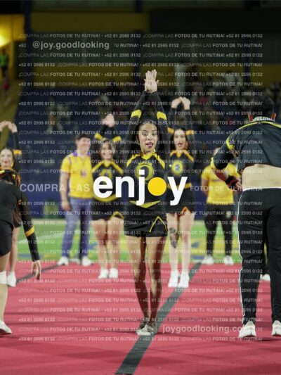 Joy01068
