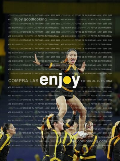 Joy01119