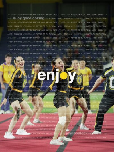 Joy01163