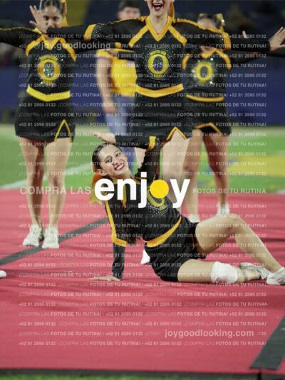 Joy01167