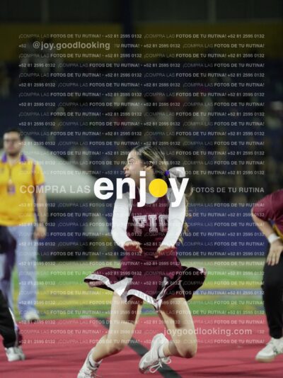 Joy01325