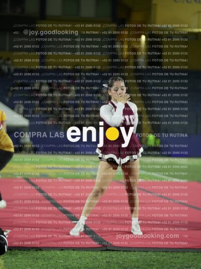 Joy01337