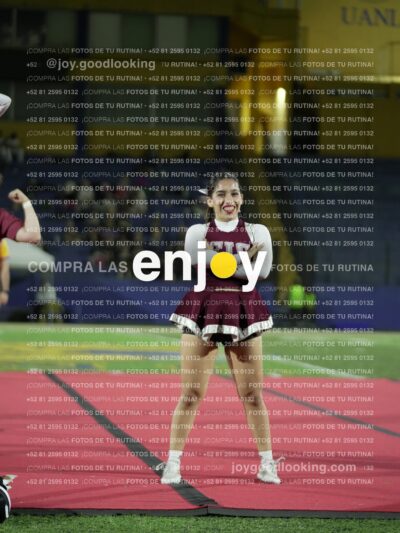 Joy01344