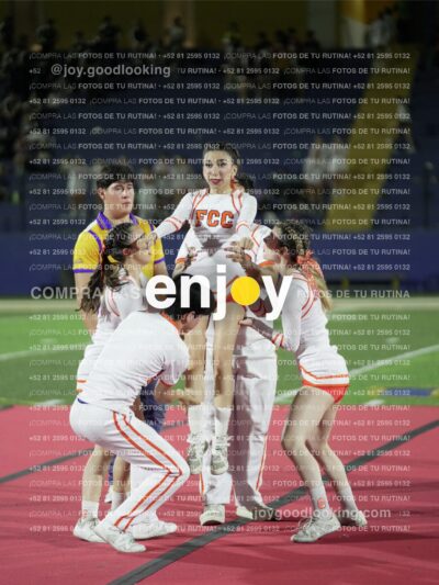 Joy01470