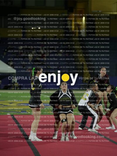 Joy01769