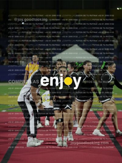 Joy01779
