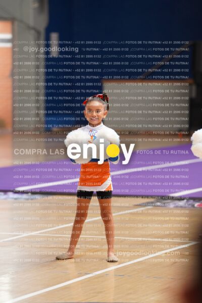 Joy01 Dsc08302