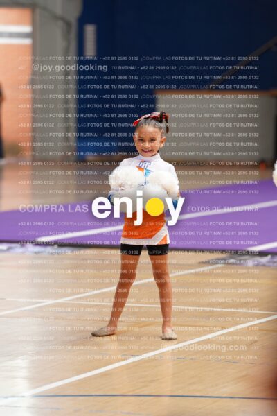 Joy01 Dsc08303