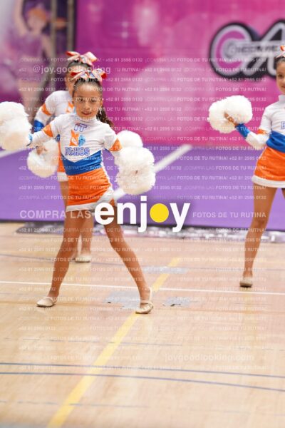Joy01 Dsc08305