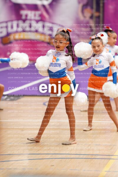 Joy01 Dsc08309