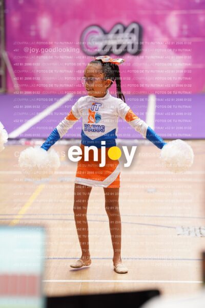 Joy01 Dsc08341