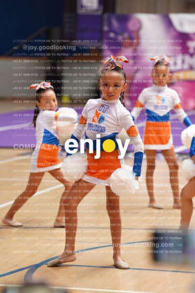 Joy01 Dsc08347