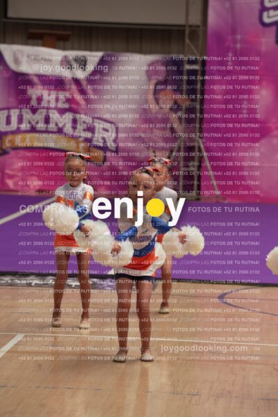 Joy01 Joy05175