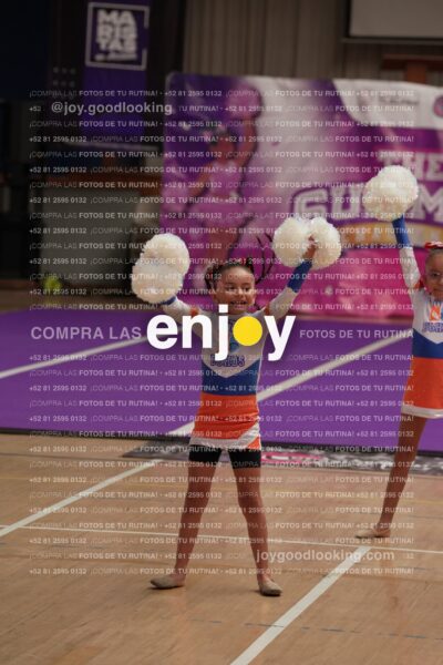 Joy01 Joy05177