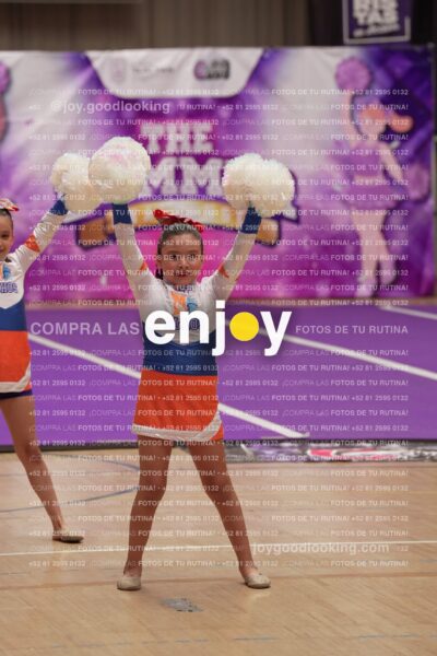 Joy01 Joy05179