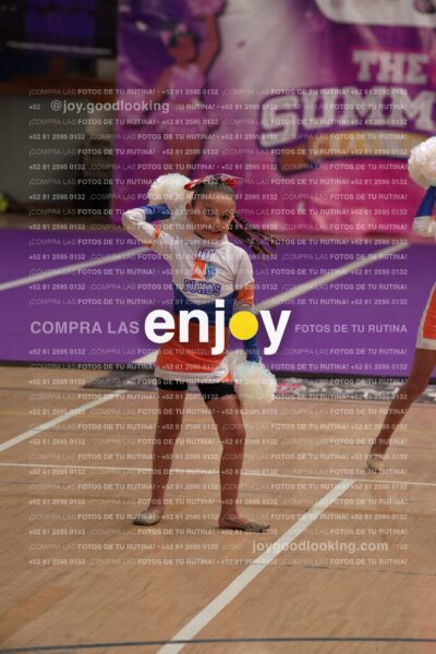 Joy01 Joy05186