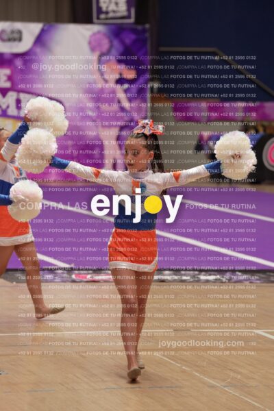 Joy01 Joy05195