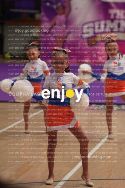 Joy01 Joy05199