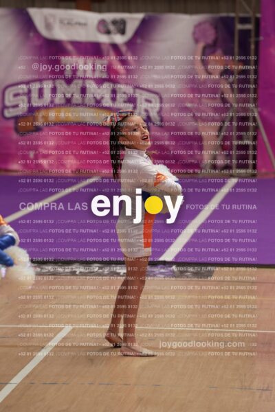 Joy01 Joy05200