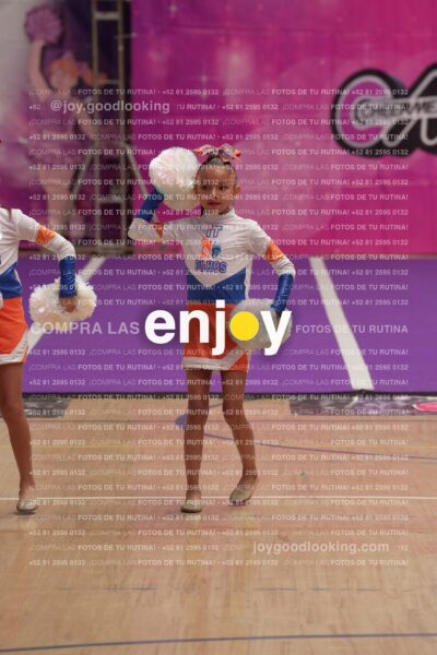 Joy01 Joy05202