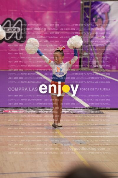 Joy01 Joy05204