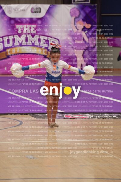 Joy01 Joy05205
