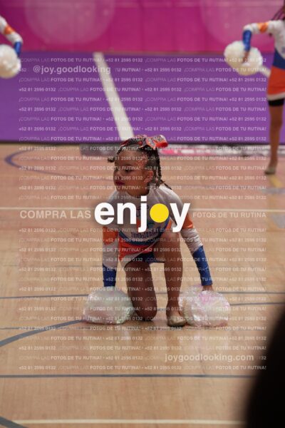 Joy01 Joy05208
