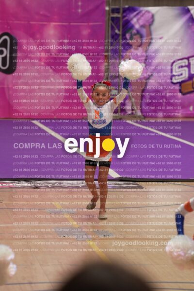 Joy01 Joy05209