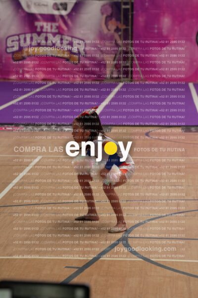 Joy01 Joy05219