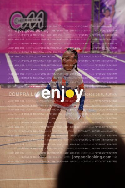 Joy01 Joy05223