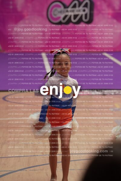 Joy01 Joy05224