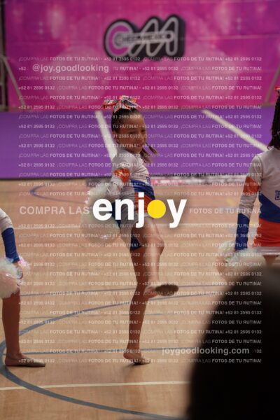 Joy01 Joy05225