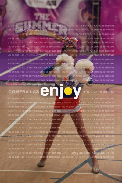 Joy01 Joy05226